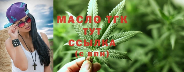 apvp Инсар