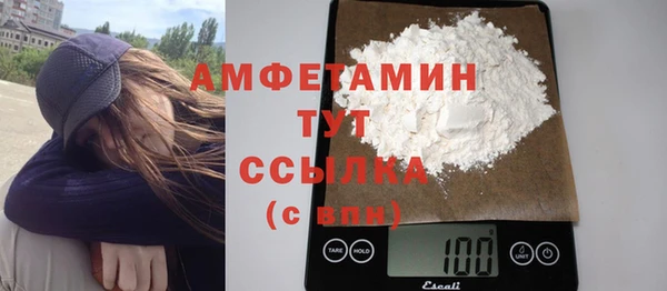 apvp Инсар