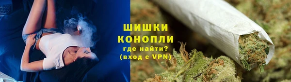 спайс Бикин