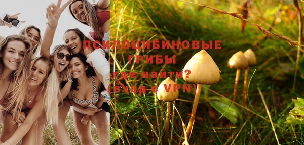 apvp Инсар