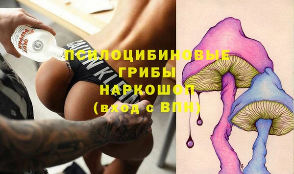 apvp Инсар