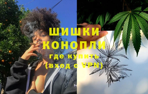 apvp Инсар
